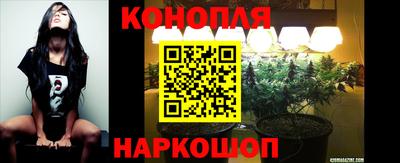 марихуана Ставрополь